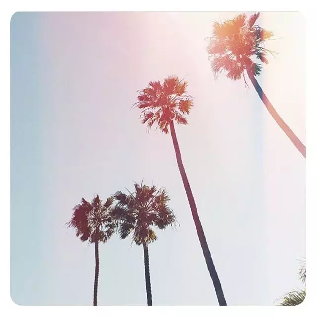 Cele mai bune fotografii postate de Meghan Markle pe conturile ei de socializare (22)