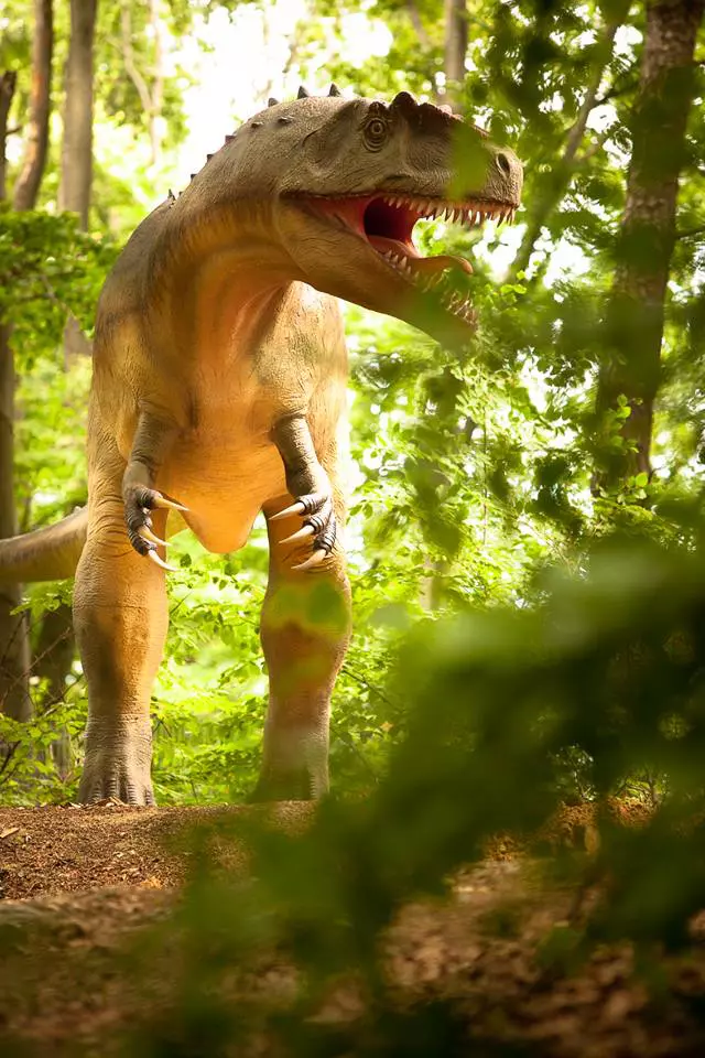 Dino Parc
