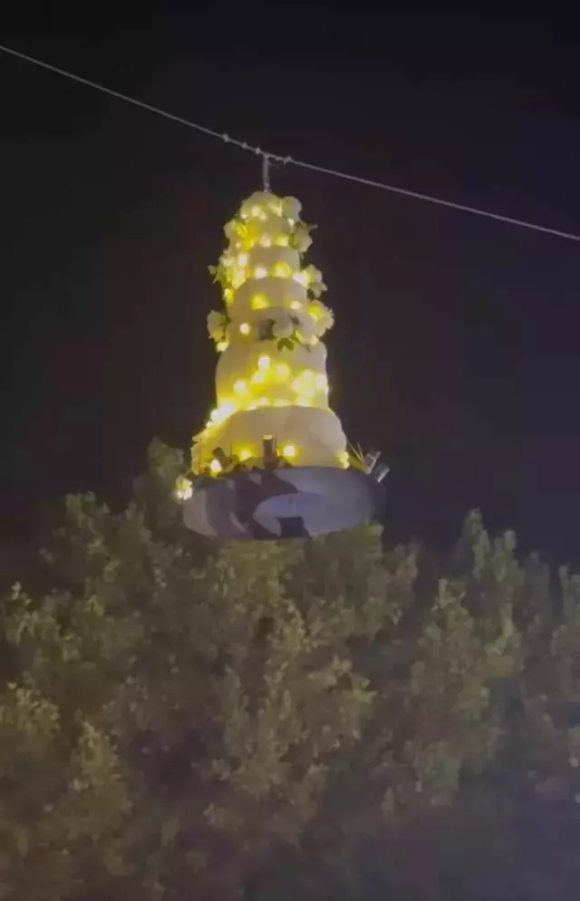 tort nunta alin ioprea