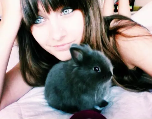 poze-animale-amuzante-vedete-paris-jackson.jpg