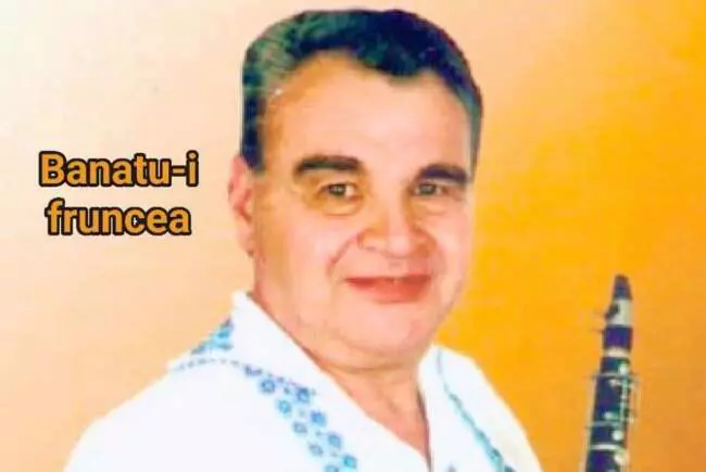 2032877DorinCuibaru