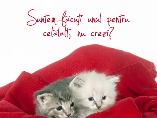 Ziua Îndrăgostiţilor