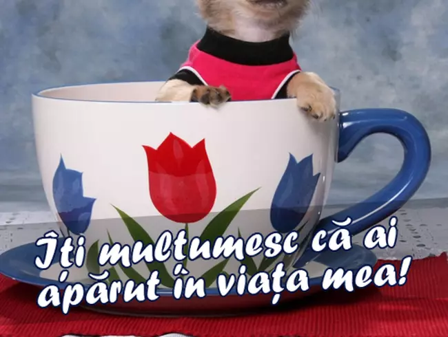 Ziua Îndrăgostiţilor