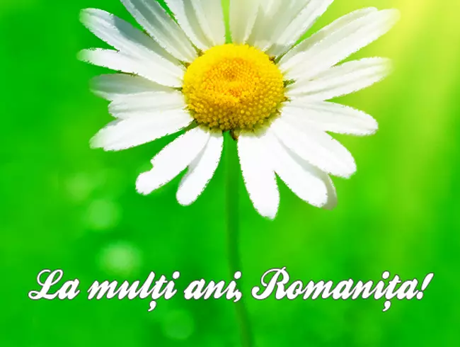 Romanita