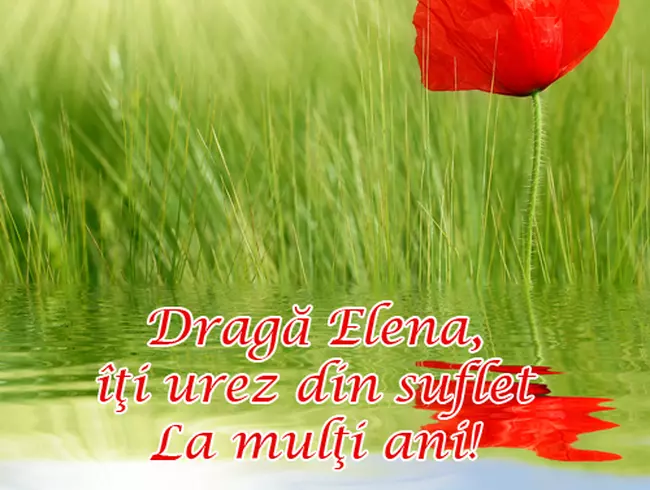 La multi ani, Elena!