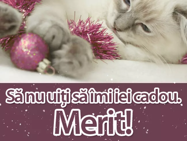 Sărbători Fericite!
