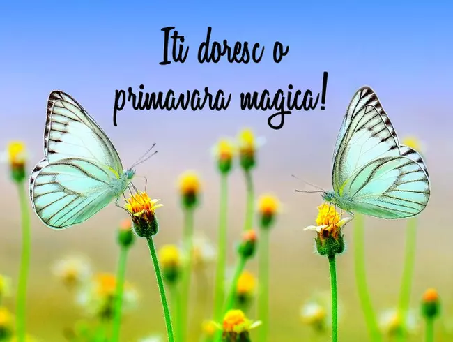 Îţi doresc o primăvară magică!