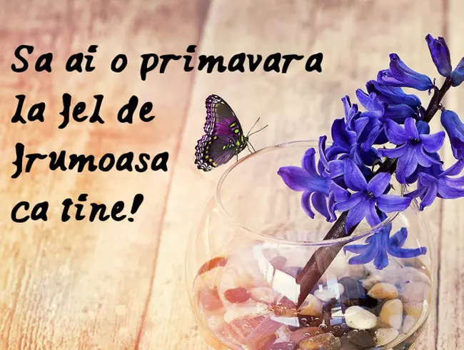 Să ai o primavară la fel de frumoasă ca tine!