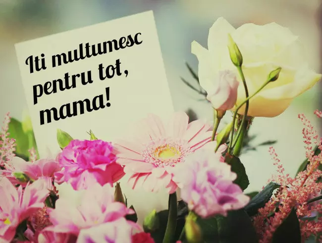 Iţi mulţumesc pentru tot, mama!