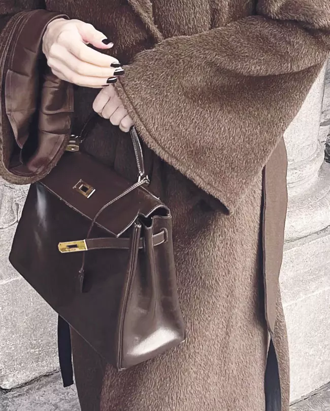 Nuanțe ciocolatii (beatrice.gutu)