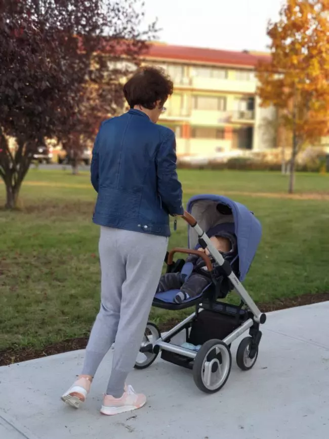 Soacra Mirelei Vaida