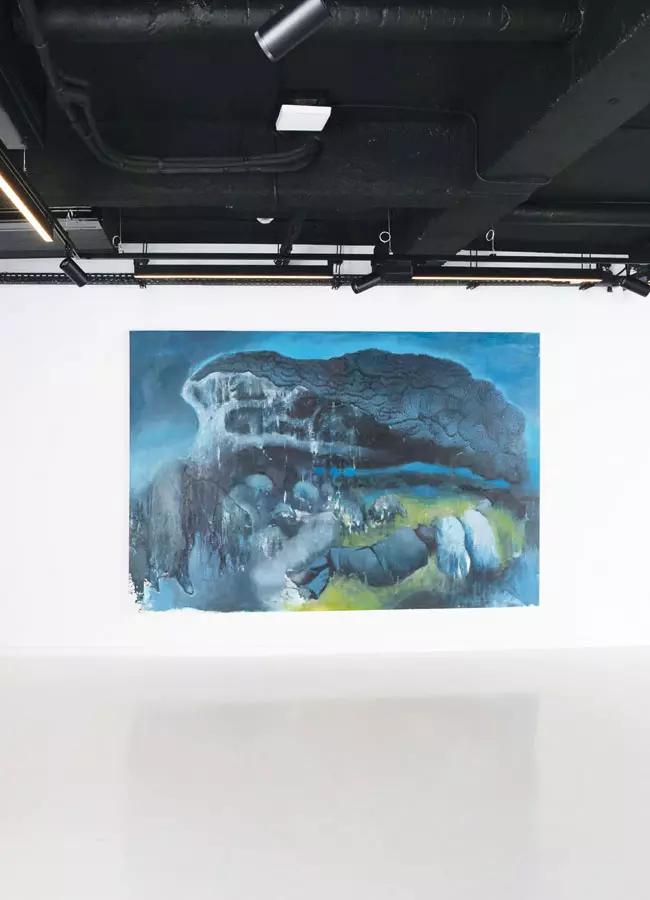 Solo show Radu Băieș la The H Gallery