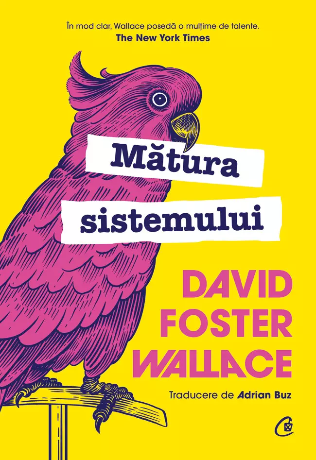 Mătura sistemului, David Foster Wallace, editura Curtea Veche