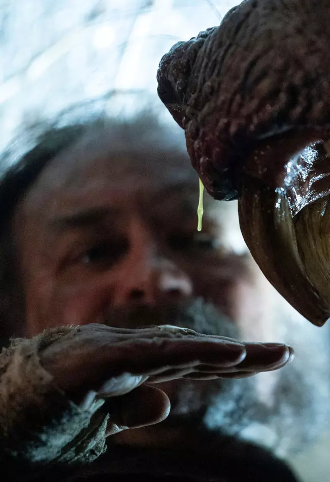 Guillermo Del Toro’s Cabinet of Curiosities