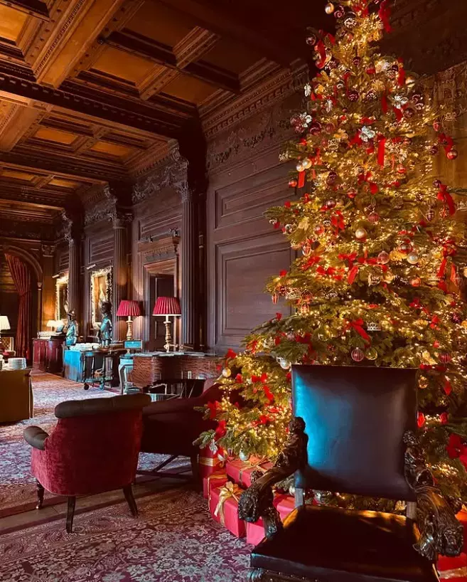 dana-budeanu-revelion