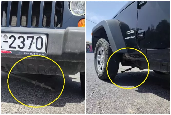 Mircea-Badea-si-Carmen-Bruma