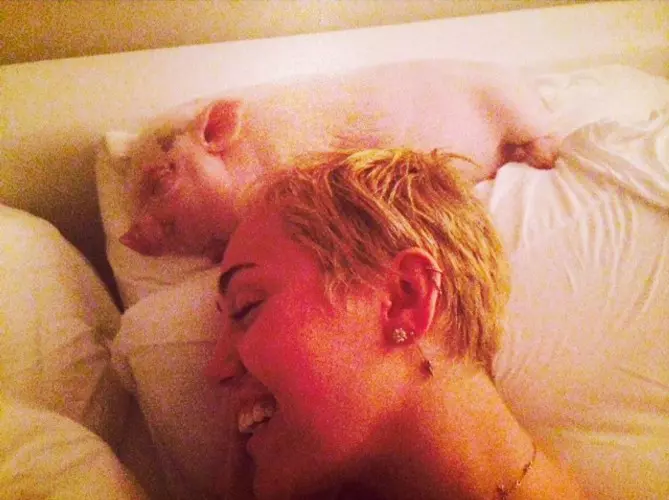 poze-animale-amuzante-vedete-miley-cyrus.jpg
