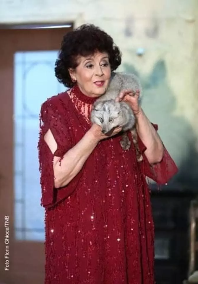 321238255_3387459764861502_7572464521682399881_n