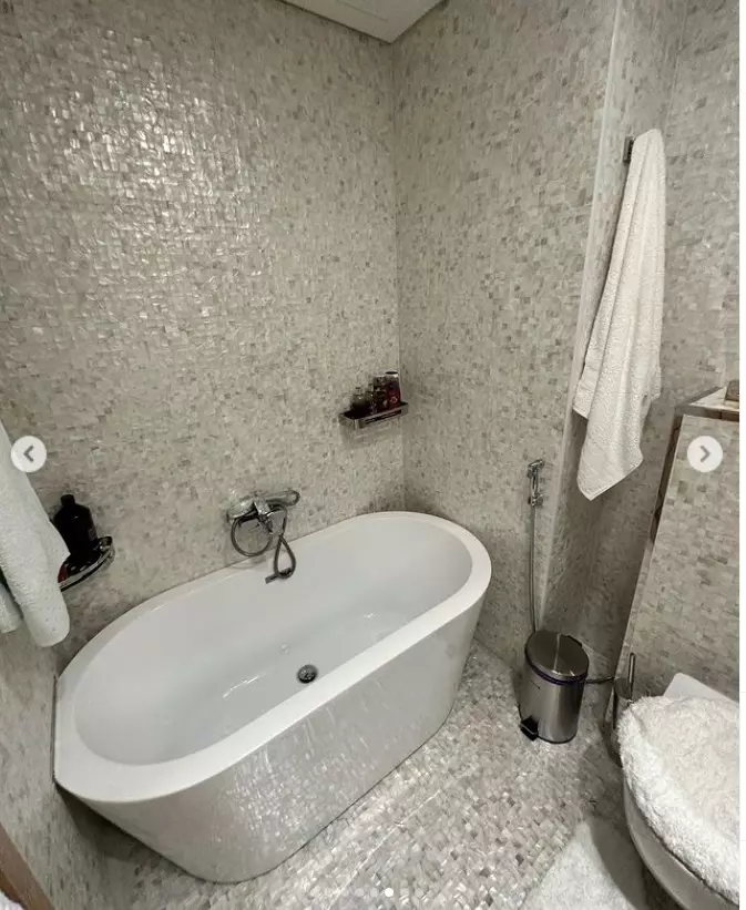 brigitte-pastrama-casa-dubai-5