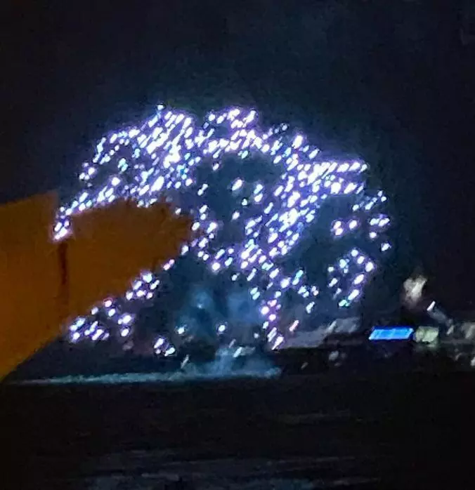 Mihaela-Radulescu-Ayan-5