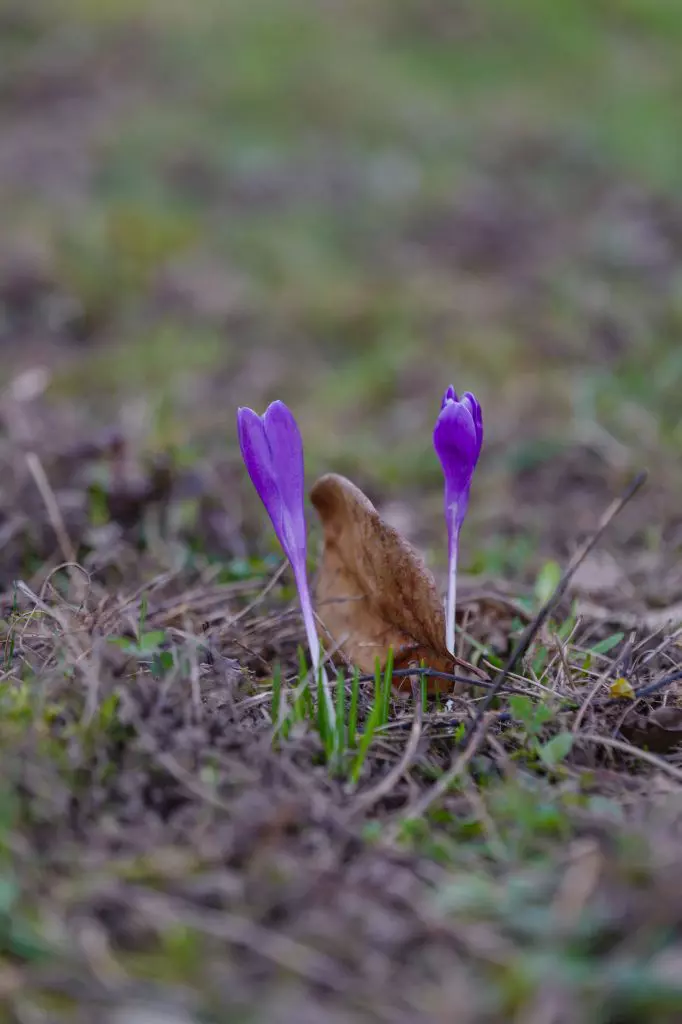 ROventura, 6 mai 2023. Maramureș, tradiție și statornicie