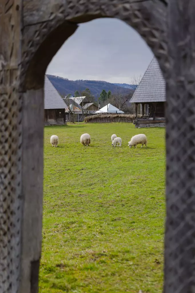 ROventura, 6 mai 2023. Maramureș, tradiție și statornicie