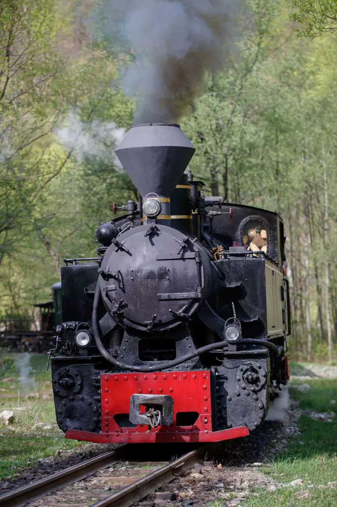 roventura7-1-1