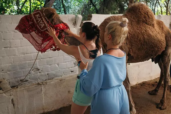 243225757_232782538814451_6776458703160921299_n