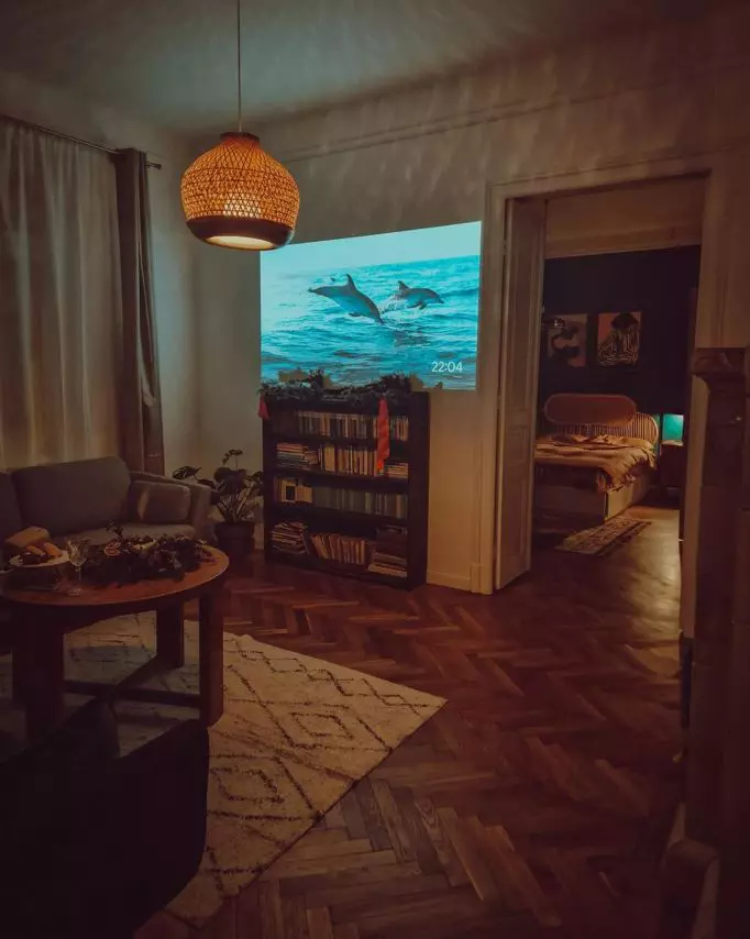 dana-rogoz-apartament-1