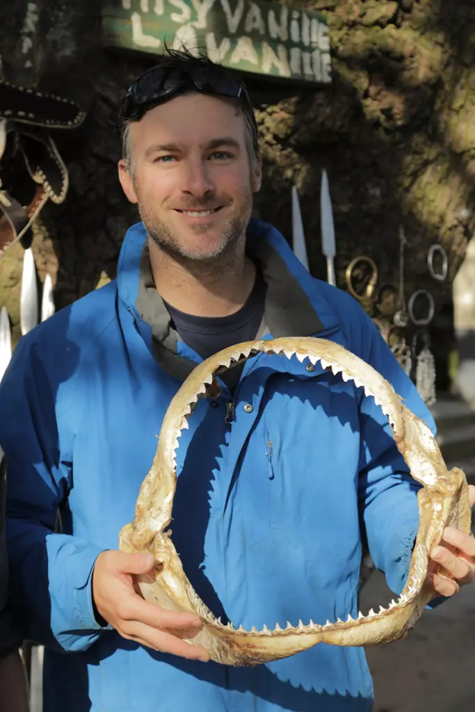 SW17: AFRICAN SHARK SAFARI