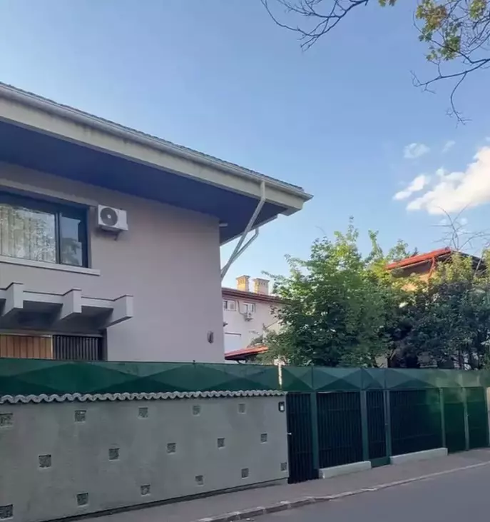 iliescu casa