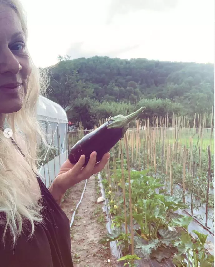 dana nalbaru cu productia de vinete