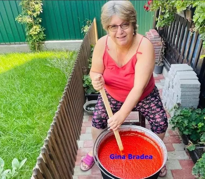 gina bradea externare