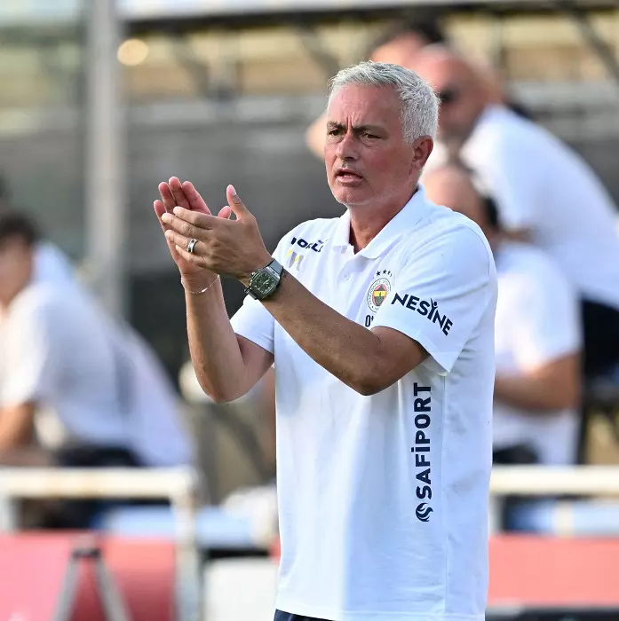 Admira Wacker v Fenerbahce - Friendly Match
