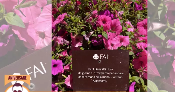 liliana-mocanu-sotie-firicel-las-fierbinti-poza-italia