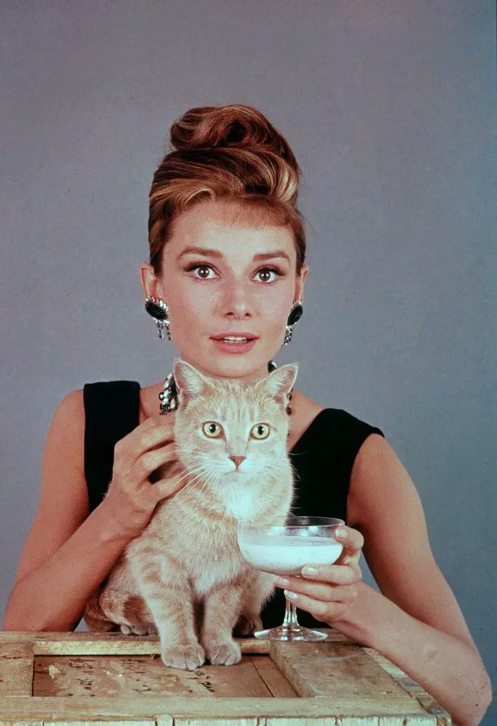 Audrey Hepburn