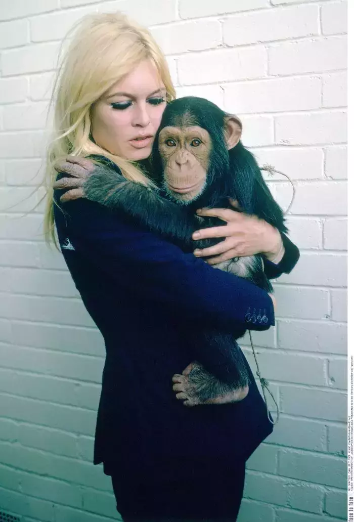 8brigitte-bardot-1
