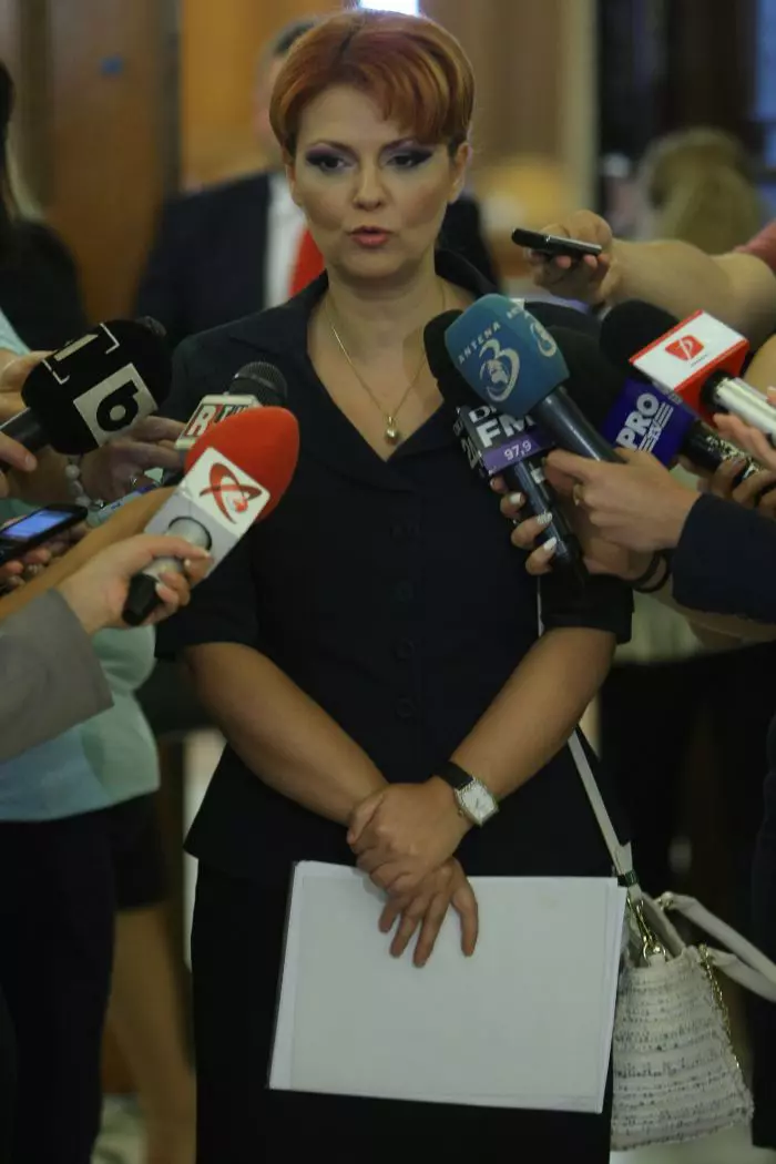 Lia Olguta Vasilescu 2017