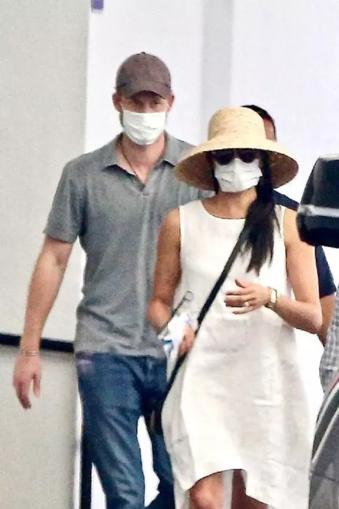 meghan harry los angeles masti de protectie
