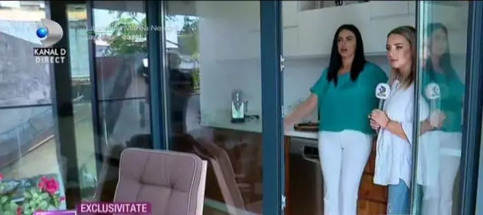 Apartamentul Laviniei Parva