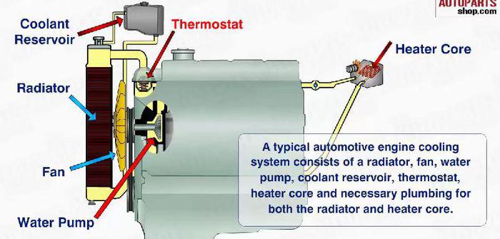 Sistem De Racire Auto Bild