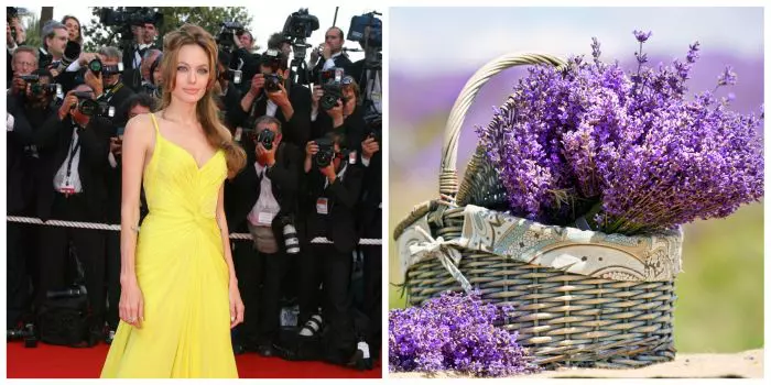 Gemeni - Angelina Jolie