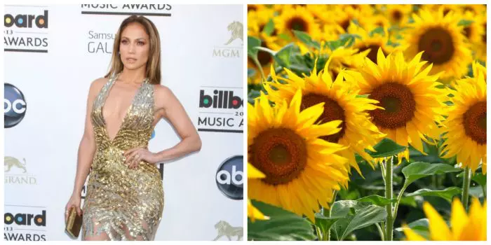 Leu - Jennifer Lopez