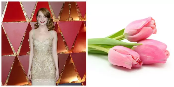 Scorpion - Emma Watson