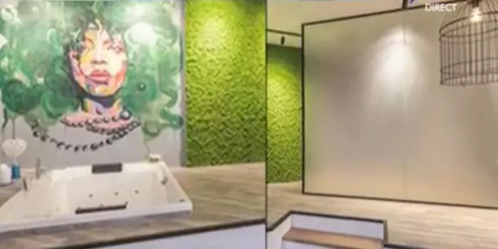 Imagini din casa Deliei Matache