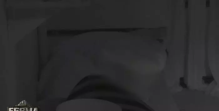 Diana Belbiță și Marius Crăciun sex la Ferma