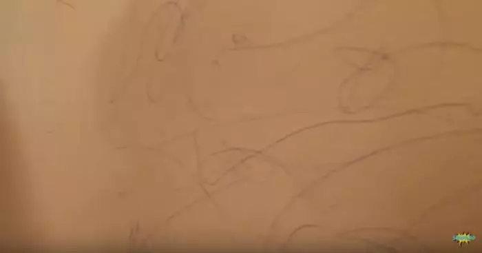 Casa lui Adi Sînă și a Ancai Serea a fost devastată