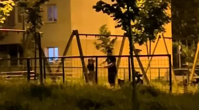 barbat isi bate sotia in parc brasov