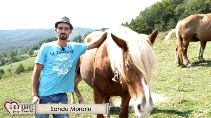 Sandu Morariu
