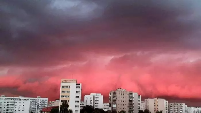 1foto-Raluca-Jipa-nori-roz